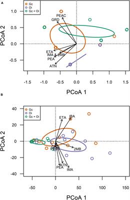 Exposure to Fungal Volatiles Can Influence Volatile Emissions From Other Ophiostomatoid Fungi